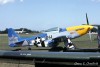 P-51