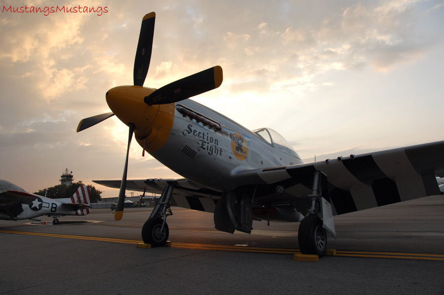 44-84390_04569_cf1.jpg