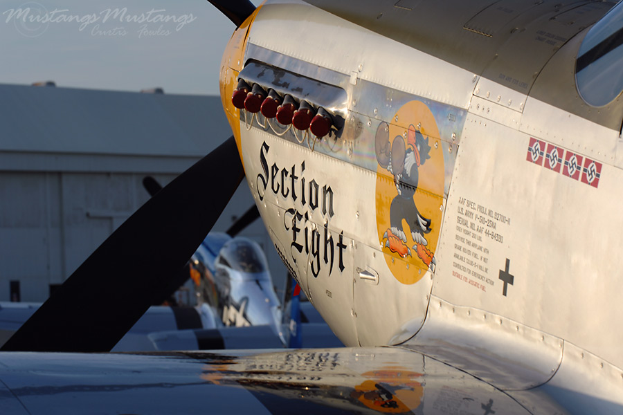 44-84390_04570_cf1.jpg