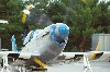 P-51