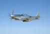 P-51