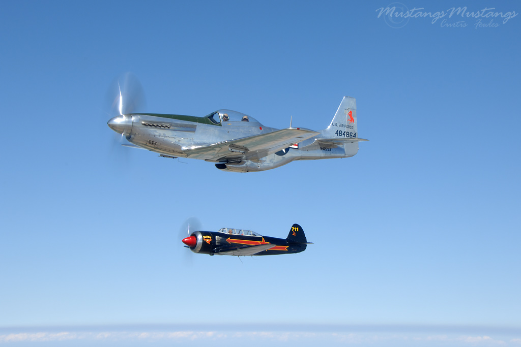 44-84864_04841_cf1.jpg