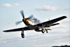 P-51
