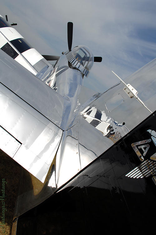 45-11439_04989_cf1.jpg