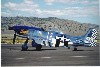 P-51
