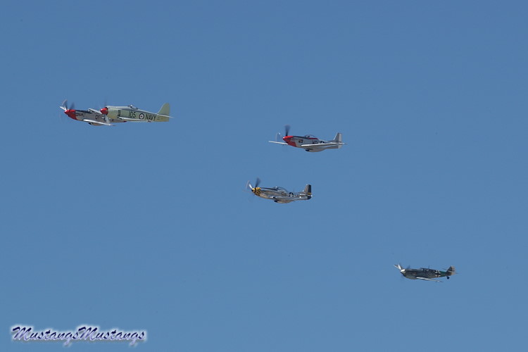 45-11559_05356_cf1.jpg