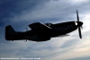 P-51