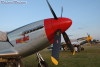 P-51