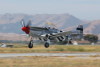 P-51