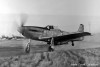 P-51