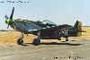 P-51