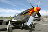 P-51