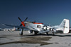 P-51