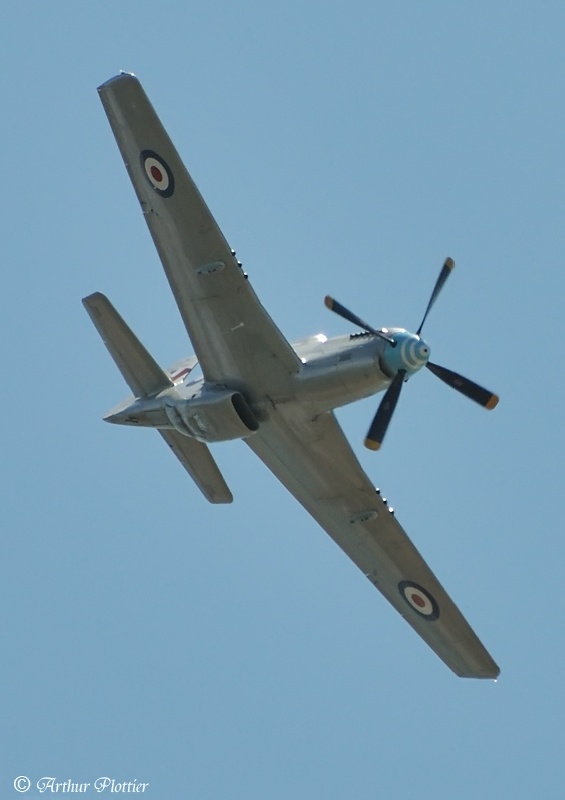 A68-110_7882_ap1.jpg