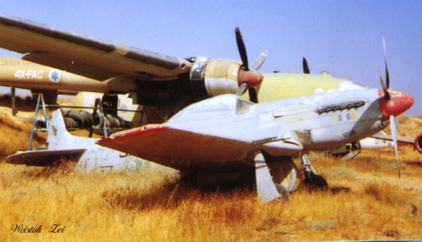 IDFAF39_05979_zw1.jpg