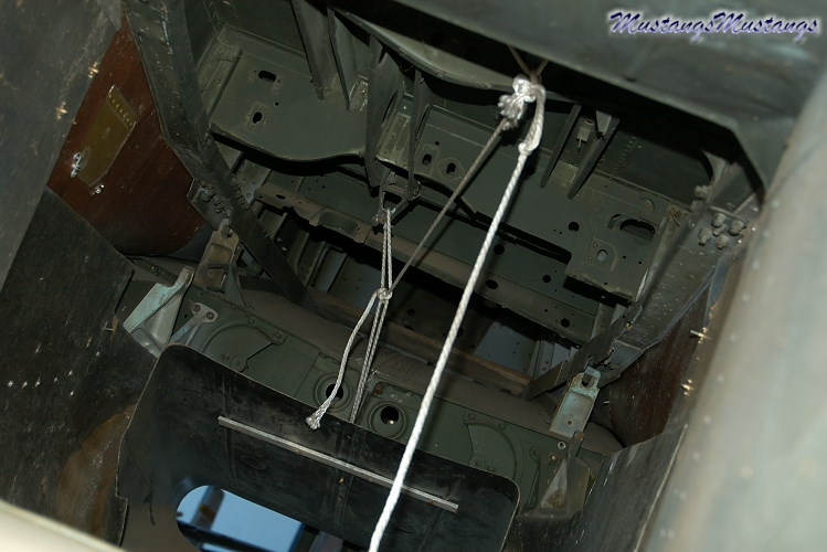 UNK02_06018_cf1.jpg