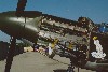 P-51A-1NA_2t.jpg