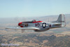 P-51D-20NA_10t.jpg