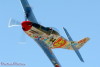 P-51D-25NA_3t.jpg