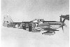 P-51D-5NA_33t.jpg