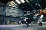 P-51 Who