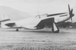 P-51 Who