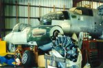 P-51 Who