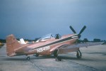 P-51 Who