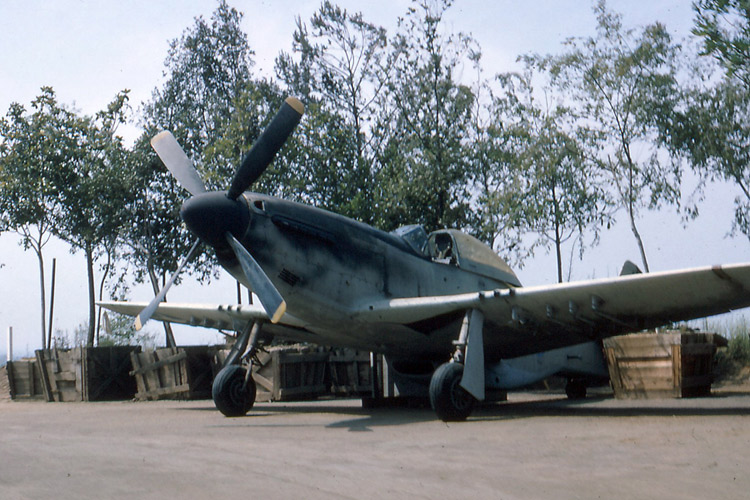 P-51 Who 353