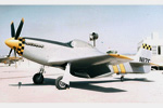 P-51 Who