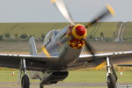 P-51 Who