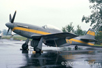 P-51 Who