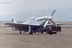 P-51 Who