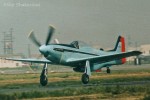 P-51 Who