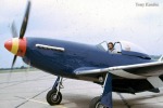 P-51 Who