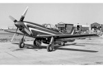 P-51 Who