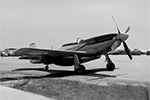 P-51 Who